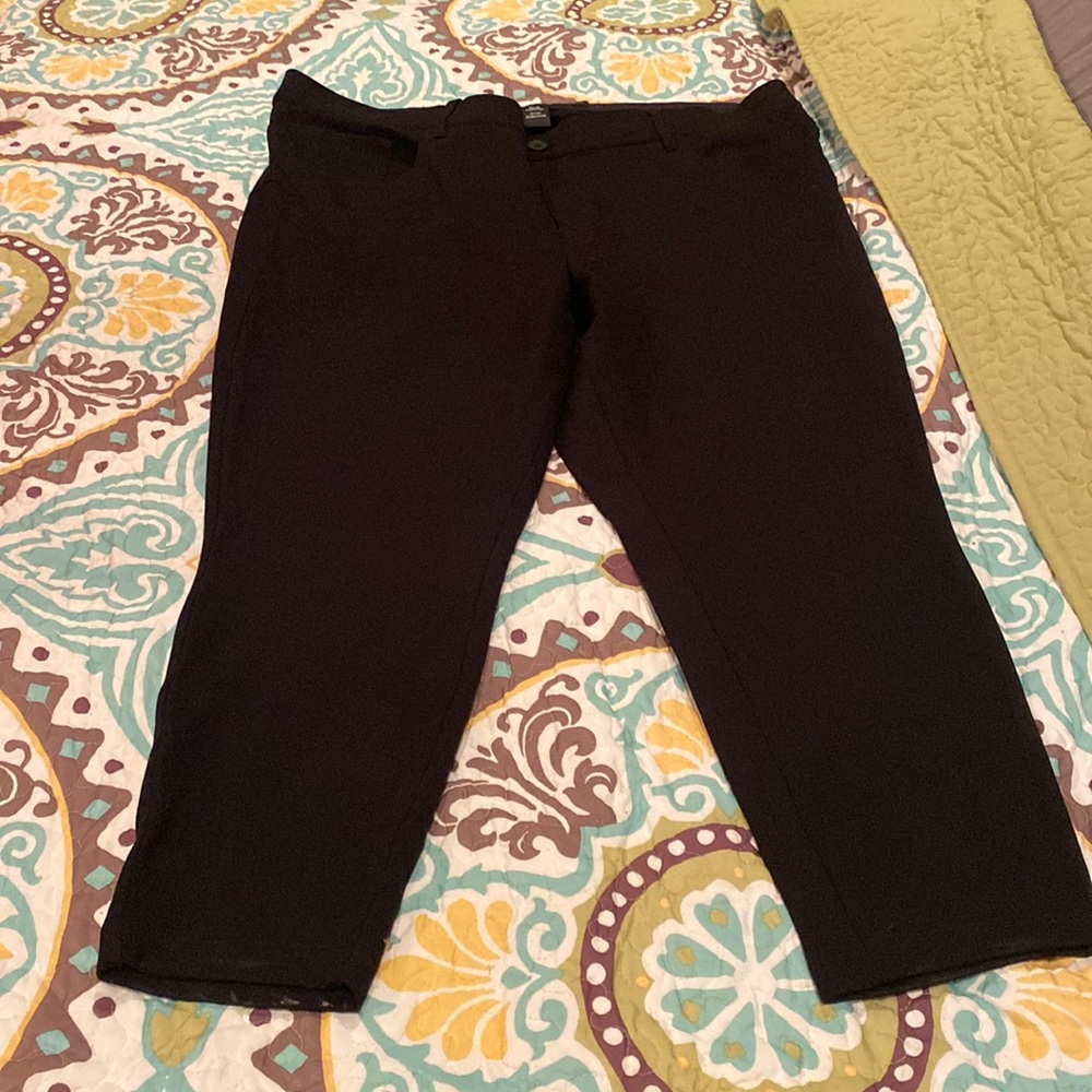 Torrid Bombshell Pixie Pants